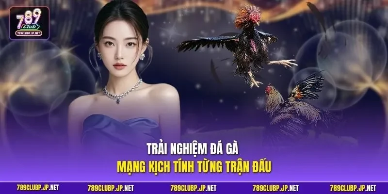 Trải nghiệm đá gà mạng kịch tính từng trận đấu